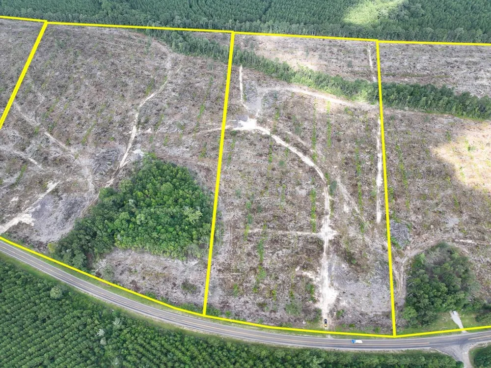 4 Fm 92 Spurger, TX 77660