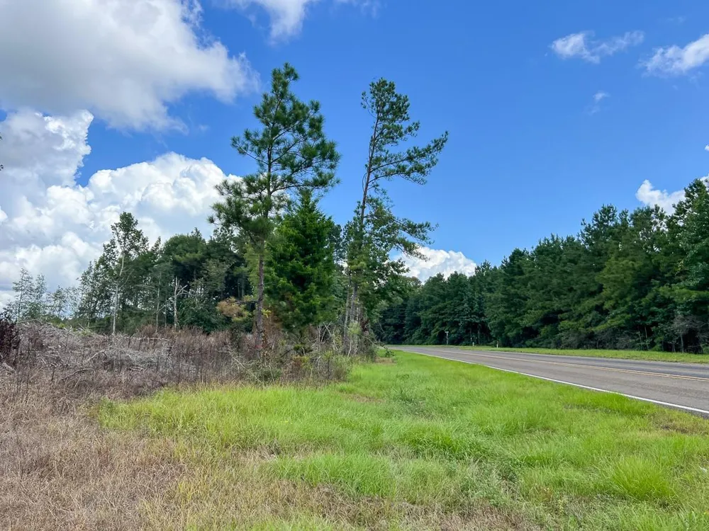 4 Fm 92 Spurger, TX 77660