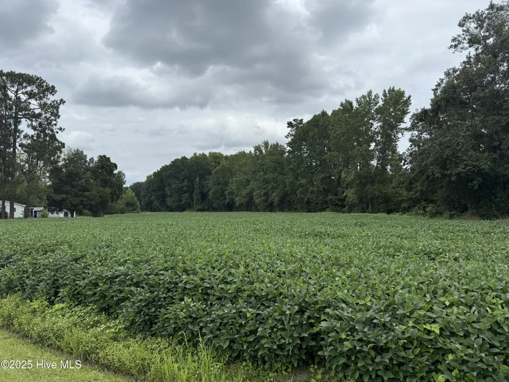 0 Sr 1932 Off Aurora, NC 27806