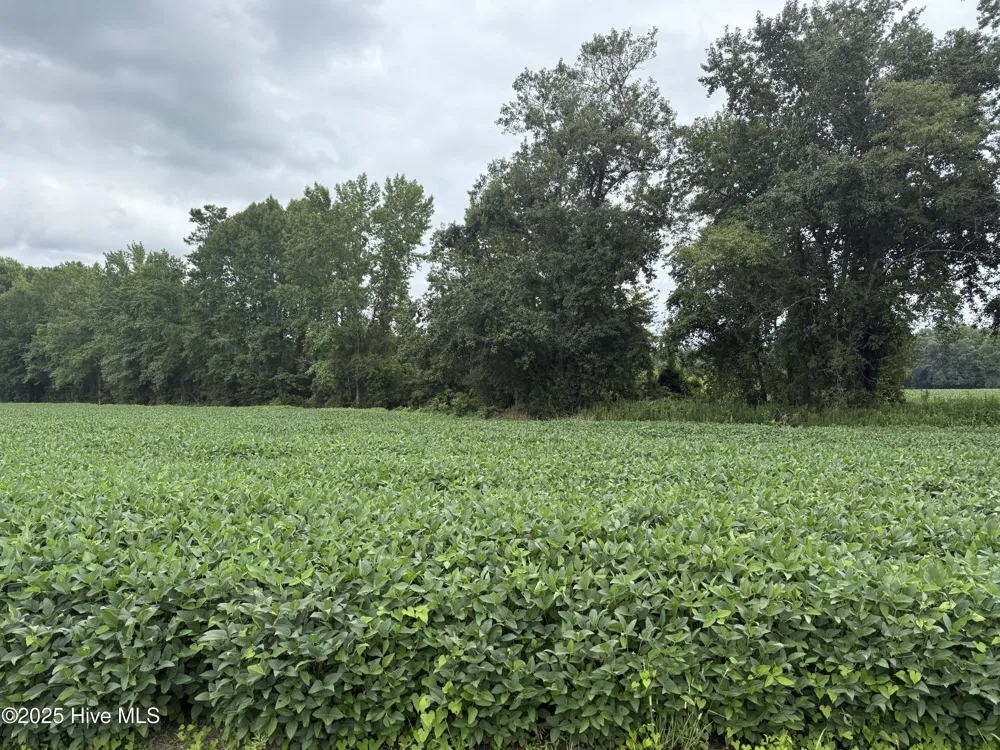 0 Sr 1932 Off Aurora, NC 27806