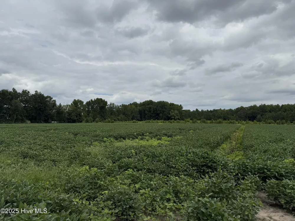 0 Sr 1932 Off Aurora, NC 27806