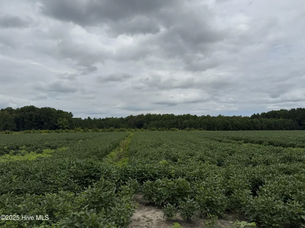 0 Sr 1932 Off Aurora, NC 27806