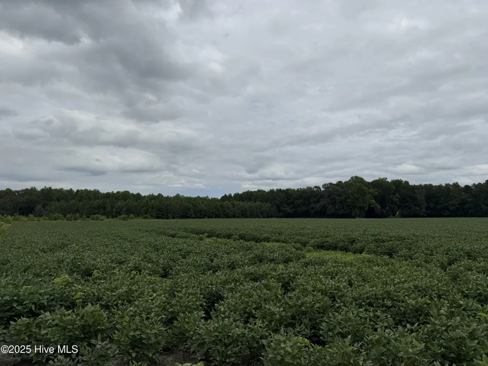0 Sr 1932 Off Aurora, NC 27806