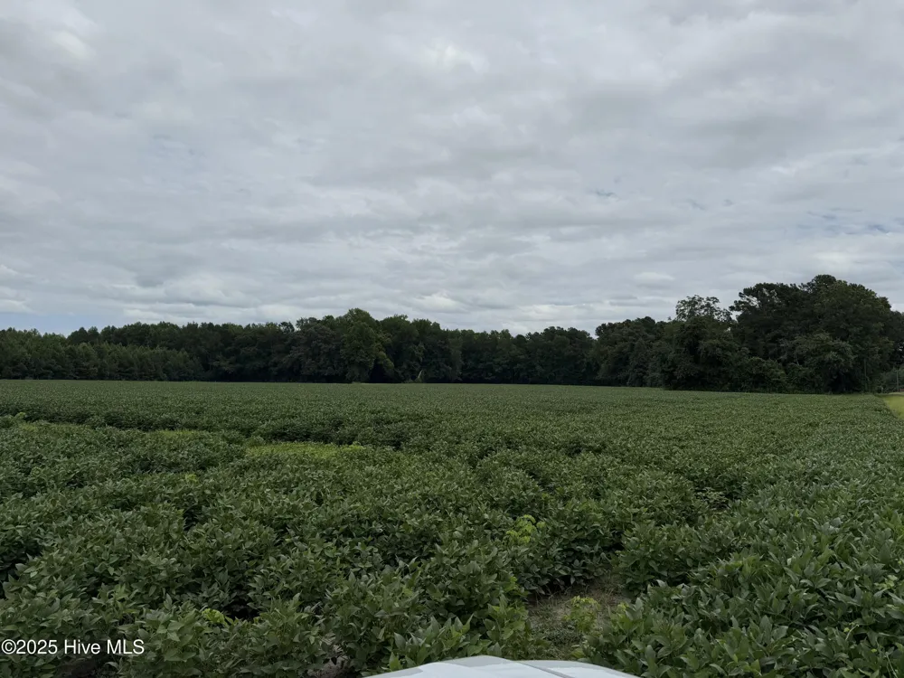0 Sr 1932 Off Aurora, NC 27806