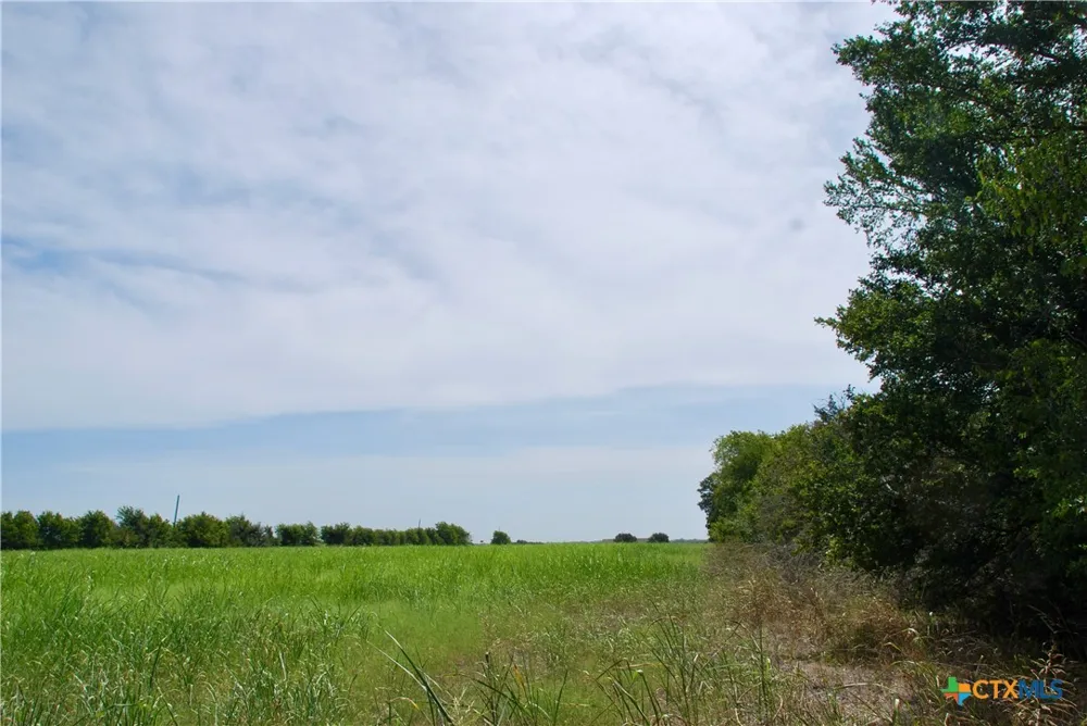 1 FM 615 Schulenburg, TX 78956