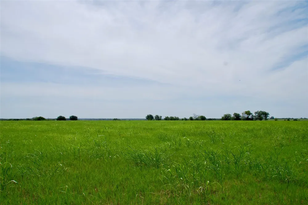 3 Company Field Road Schulenburg, TX 78956