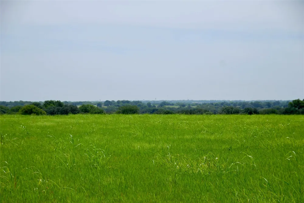 4 Company Field Road Schulenburg, TX 78956