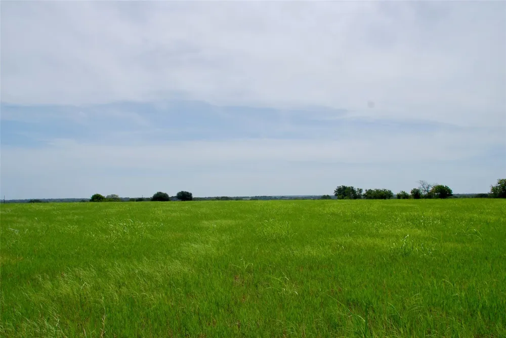 4 Company Field Road Schulenburg, TX 78956