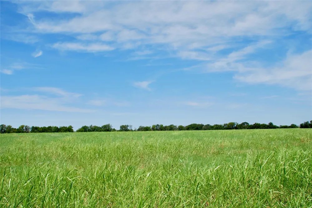 4 Company Field Road Schulenburg, TX 78956