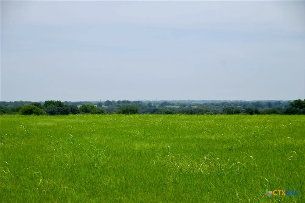 4 Company Field Road Schulenburg, TX 78956