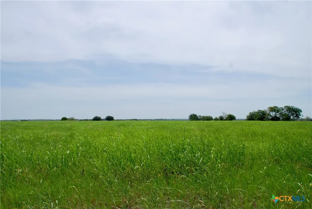 4 Company Field Road Schulenburg, TX 78956