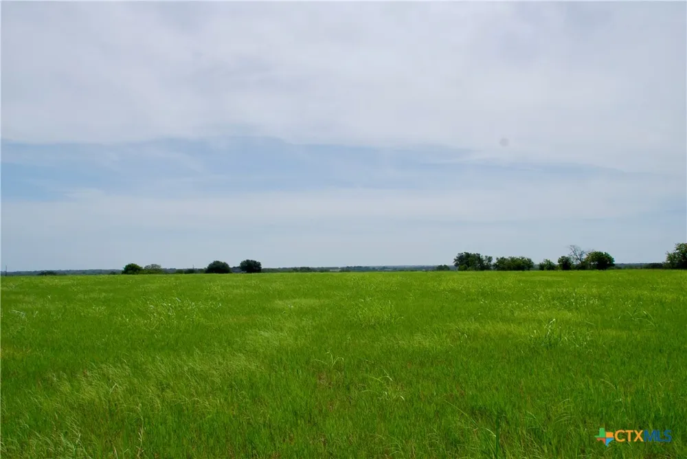 4 Company Field Road Schulenburg, TX 78956