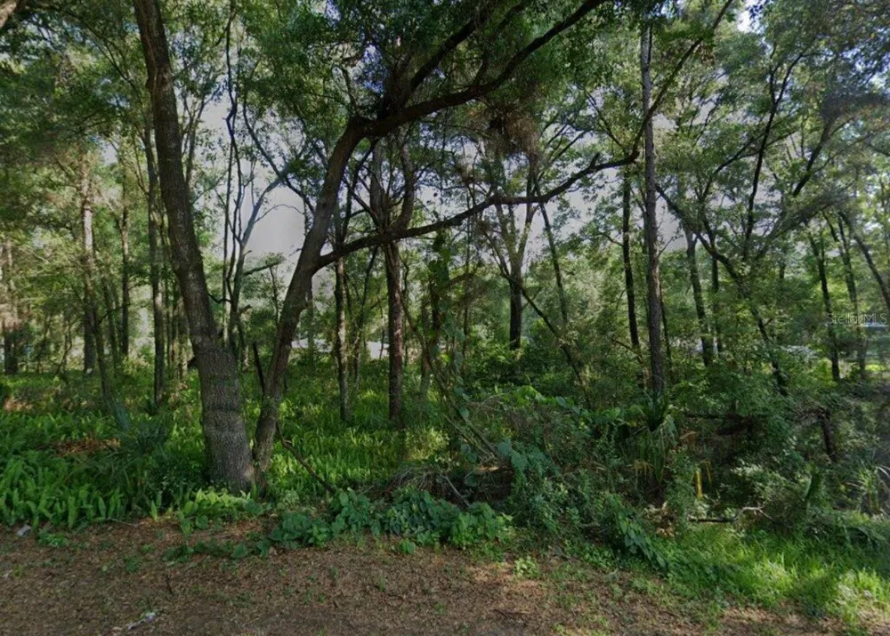 3015 EISENHOWER STREET W Inverness, FL 34453