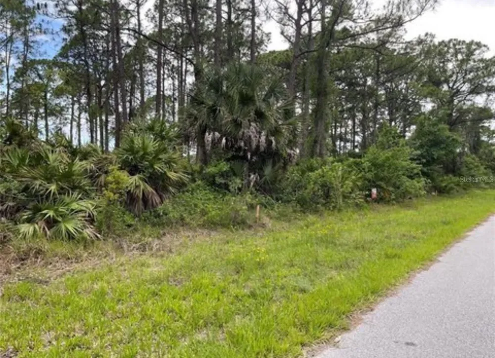 3015 EISENHOWER STREET W Inverness, FL 34453