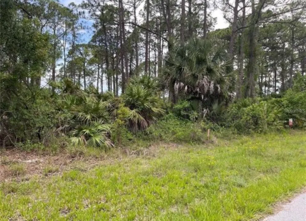 3015 EISENHOWER STREET W Inverness, FL 34453