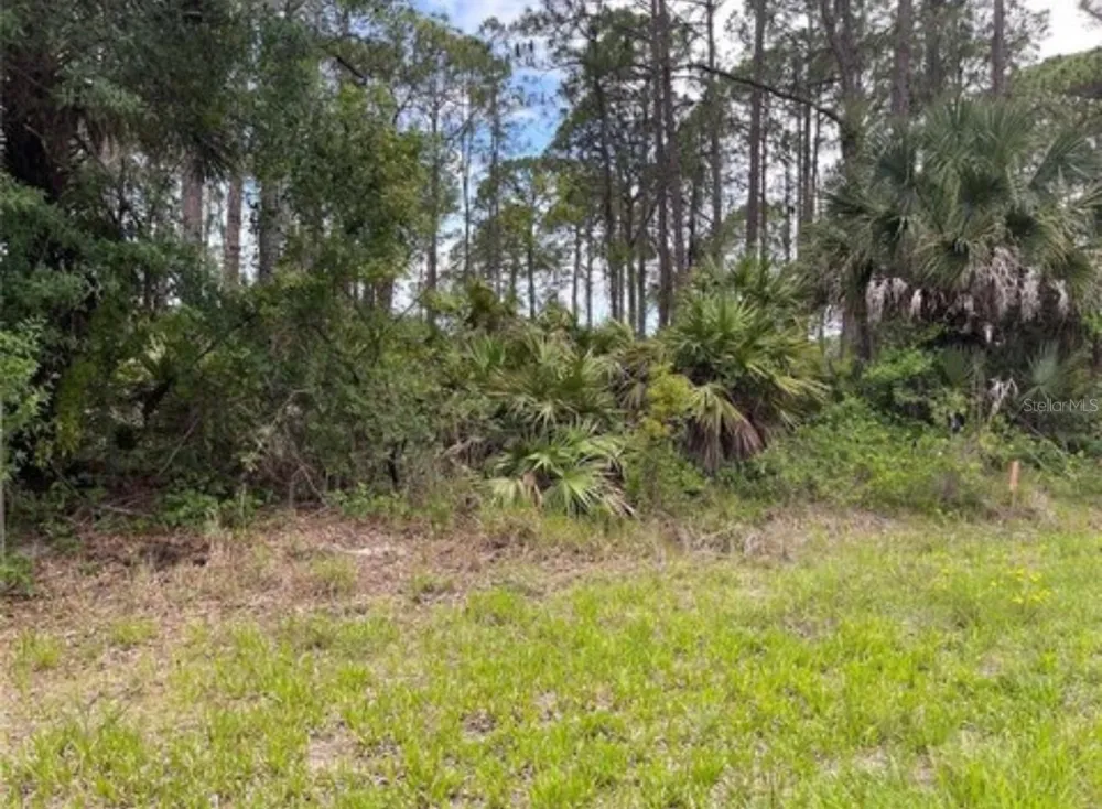 3015 EISENHOWER STREET W Inverness, FL 34453
