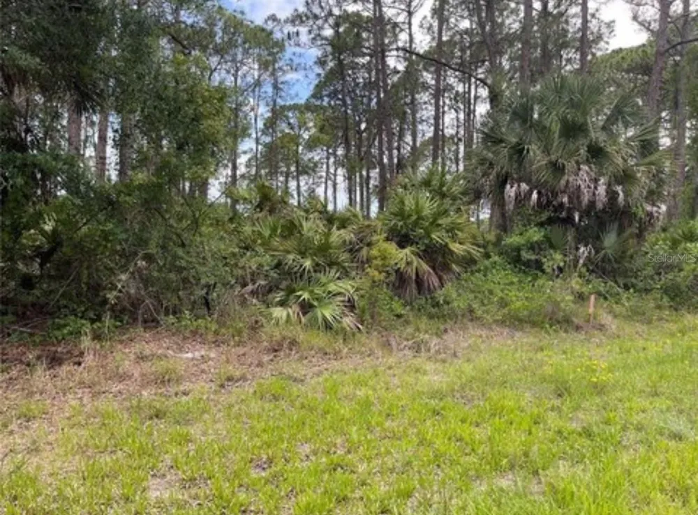 3015 EISENHOWER STREET W Inverness, FL 34453