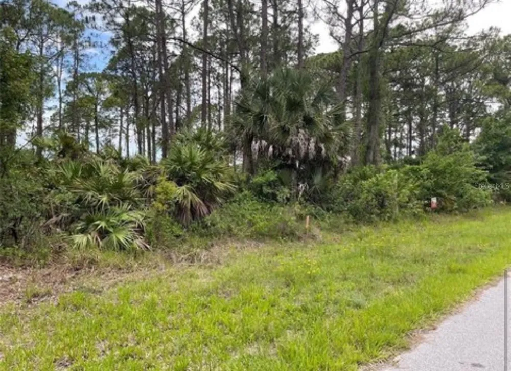 3015 EISENHOWER STREET W Inverness, FL 34453