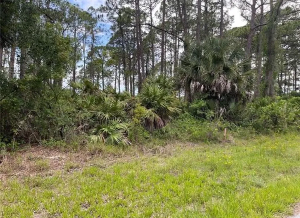 3015 EISENHOWER STREET W Inverness, FL 34453