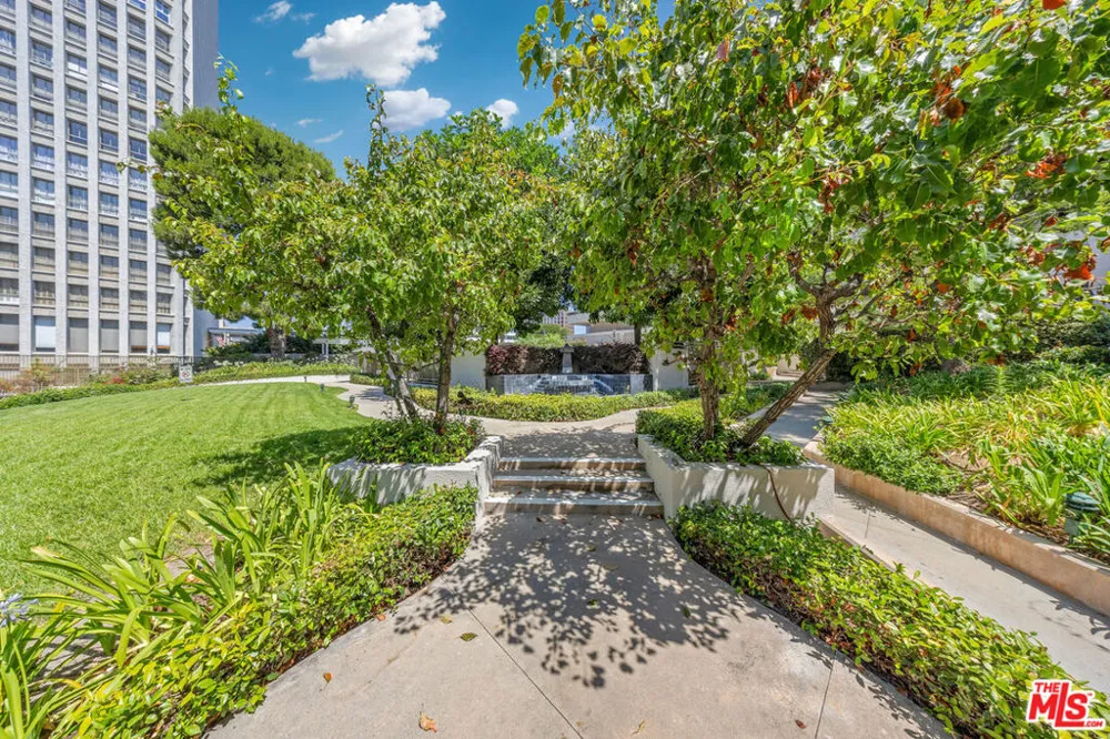 121 S Hope Street #429 Los Angeles, CA 90012