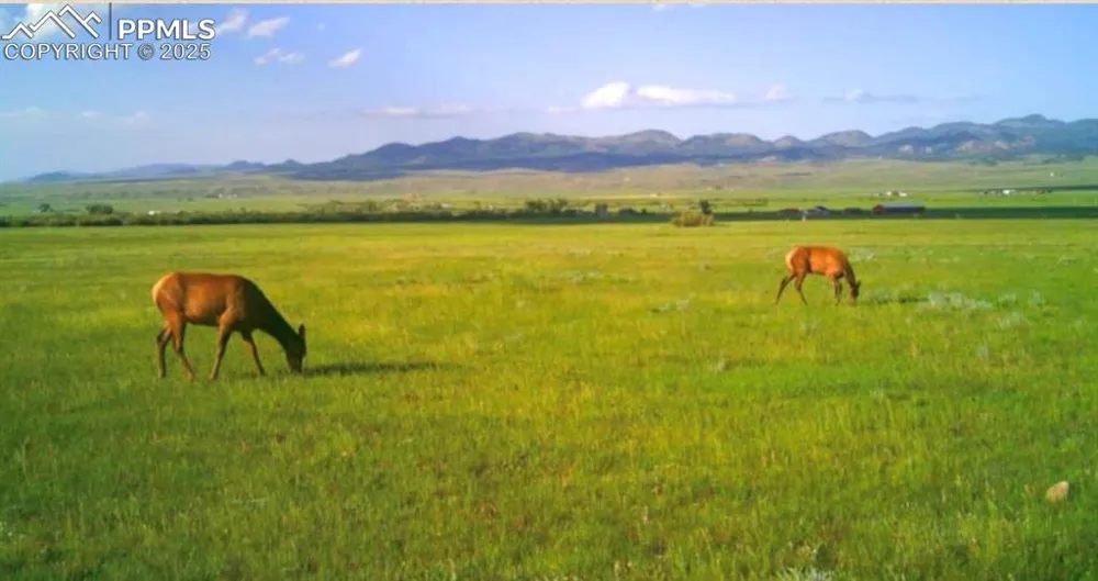 County Road 119 Westcliffe, CO 81252