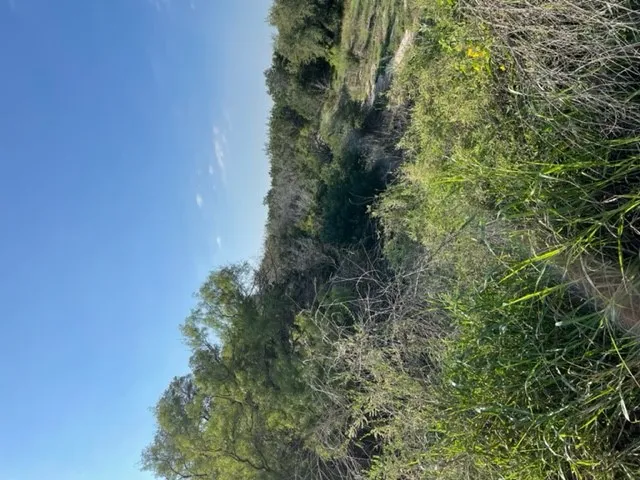 8023 Dew Drop Horseshoe Bay, TX 78657