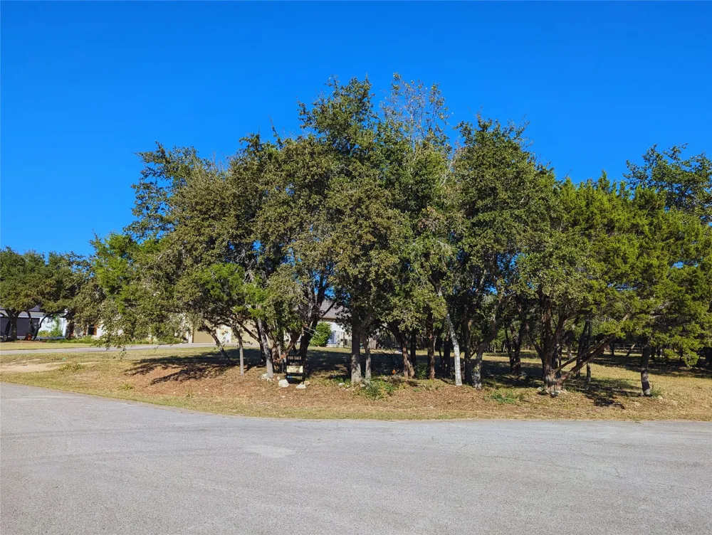 541 Onion Creek Lane Driftwood, TX 78619