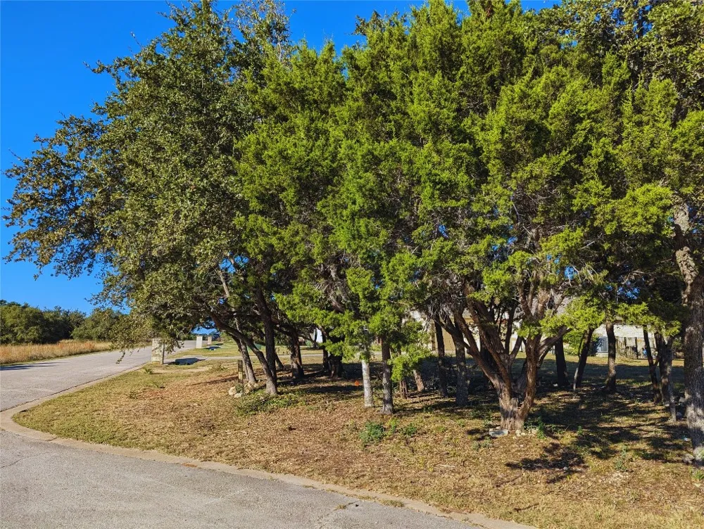 541 Onion Creek Lane Driftwood, TX 78619