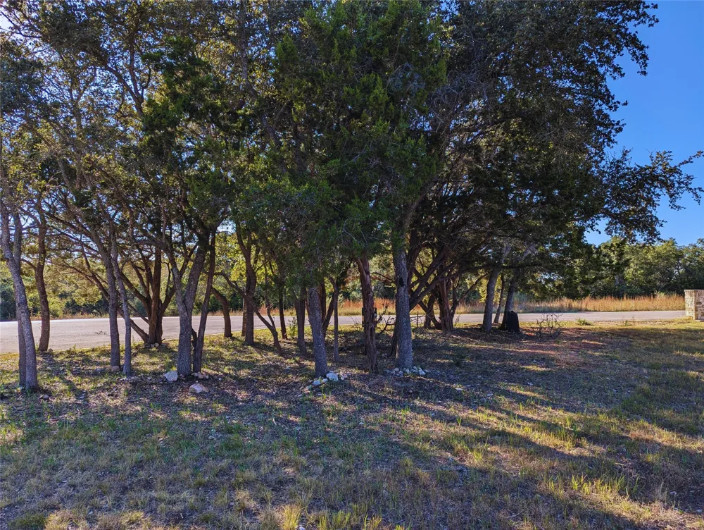 541 Onion Creek Lane Driftwood, TX 78619