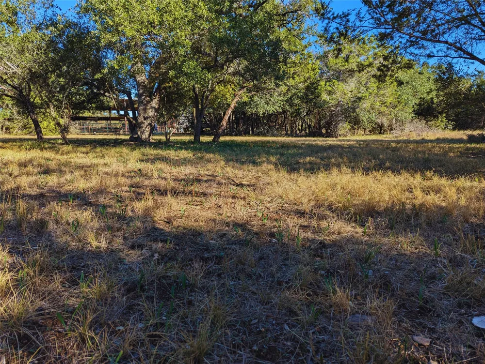 541 Onion Creek Lane Driftwood, TX 78619