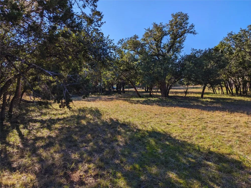 541 Onion Creek Lane Driftwood, TX 78619