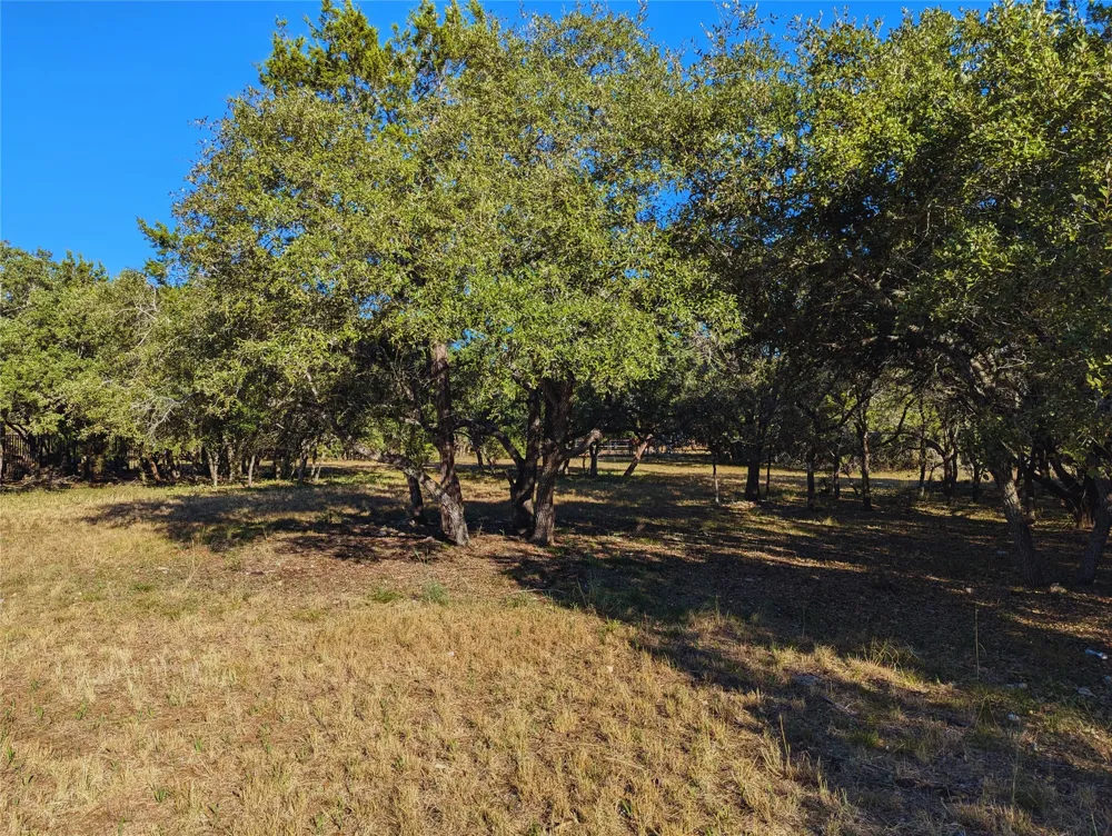 541 Onion Creek Lane Driftwood, TX 78619
