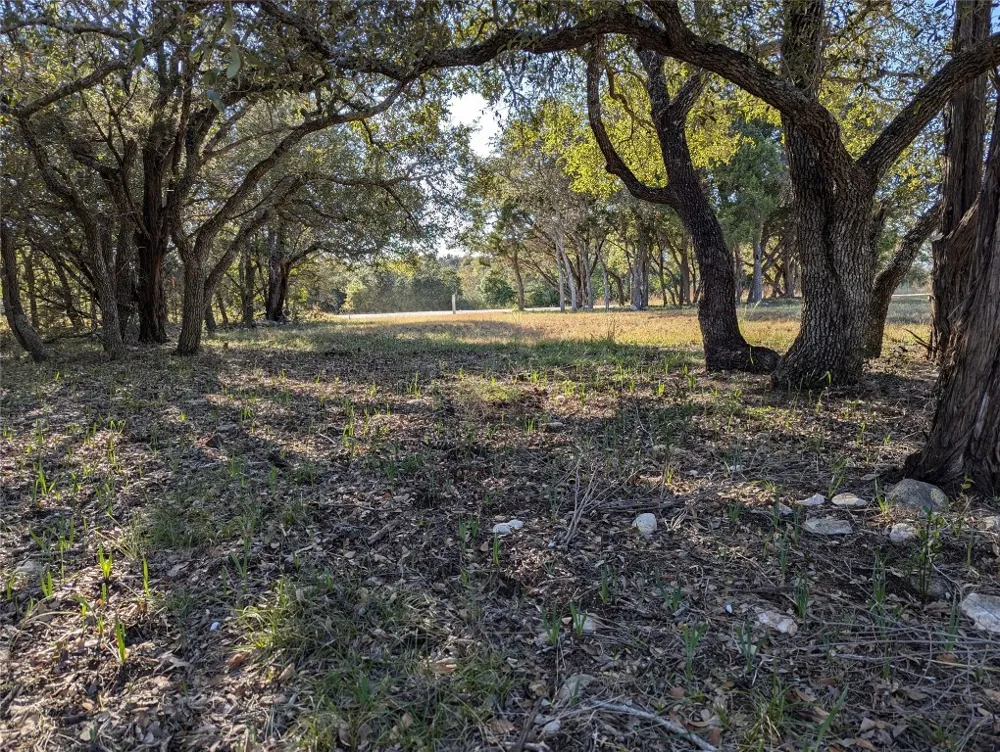 541 Onion Creek Lane Driftwood, TX 78619