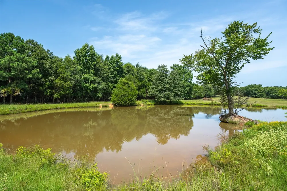 County Road 4501 Jacksonville, TX 75766
