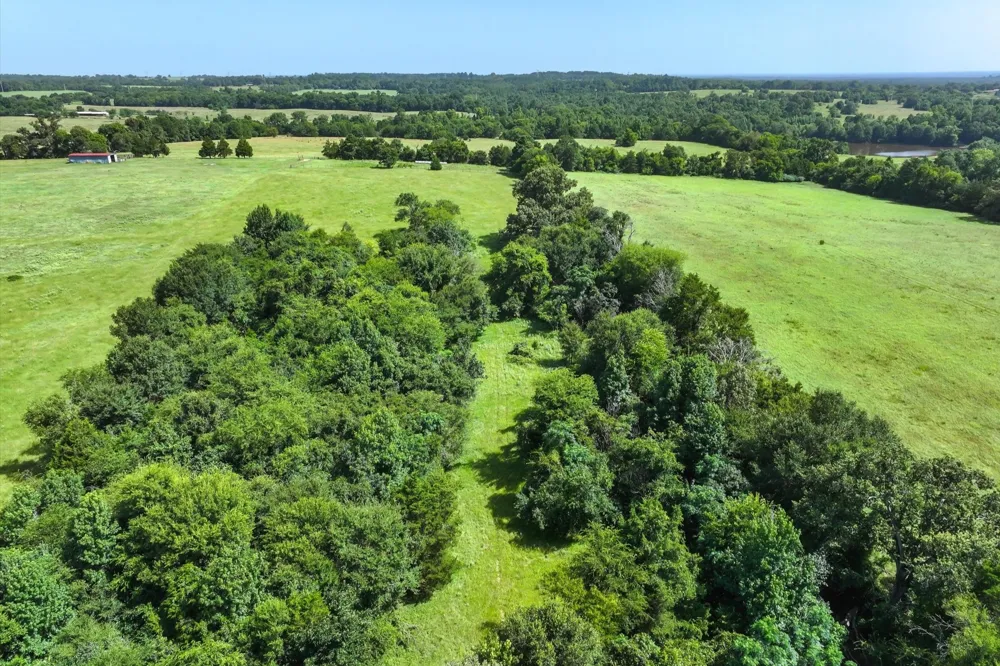 County Road 4501 Jacksonville, TX 75766