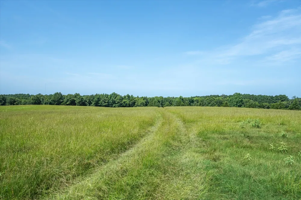 County Road 4501 Jacksonville, TX 75766