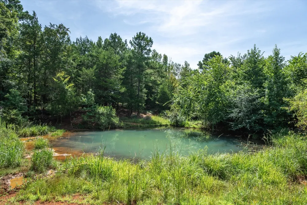 County Road 4501 Jacksonville, TX 75766