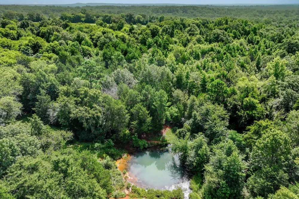 County Road 4501 Jacksonville, TX 75766