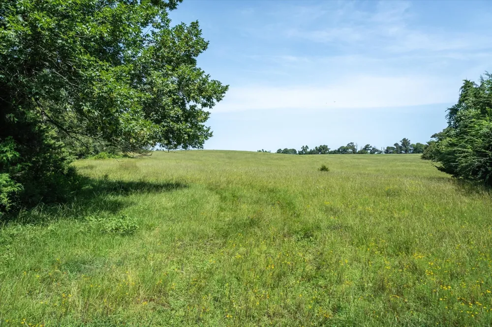 County Road 4501 Jacksonville, TX 75766
