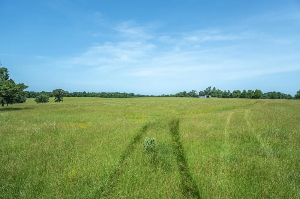 County Road 4501 Jacksonville, TX 75766