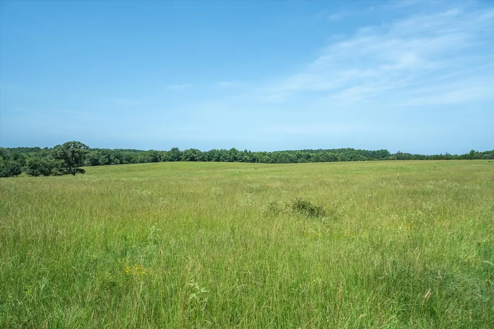 County Road 4501 Jacksonville, TX 75766