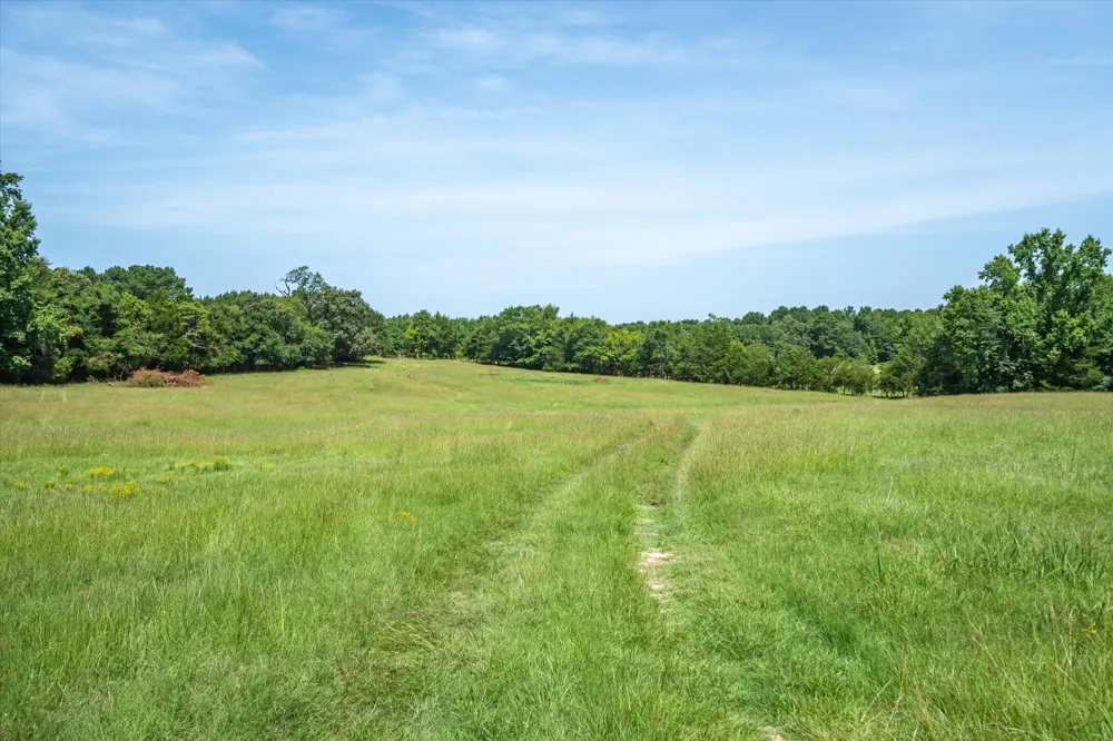 County Road 4501 Jacksonville, TX 75766