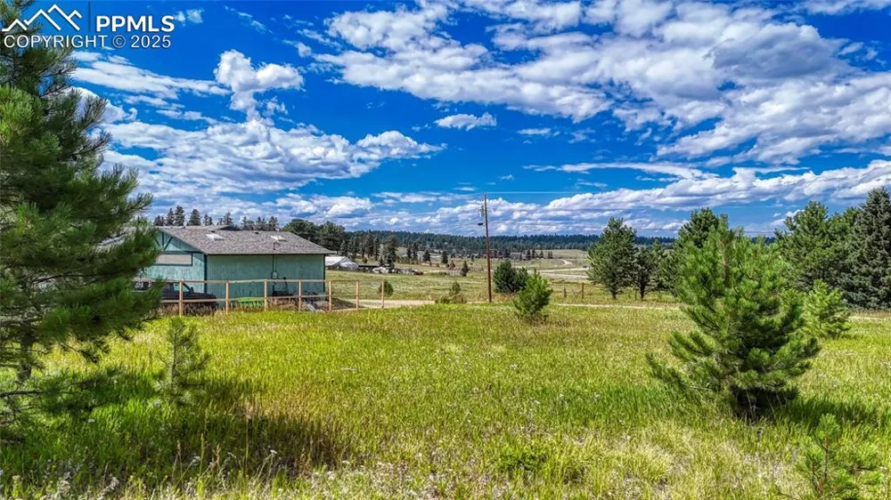 1129 Will Scarlet Drive Divide, CO 80814