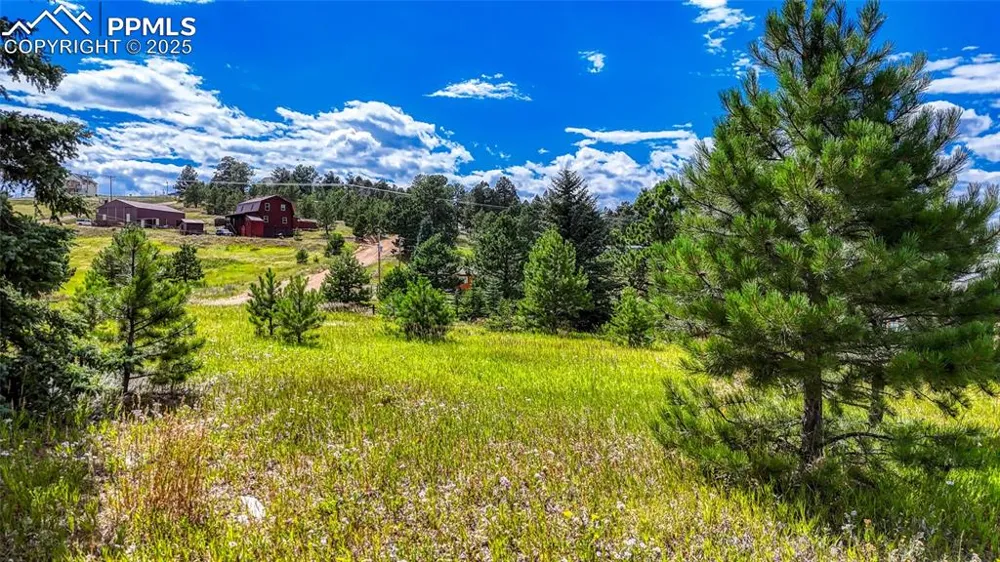 1129 Will Scarlet Drive Divide, CO 80814