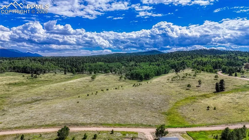 1129 Will Scarlet Drive Divide, CO 80814