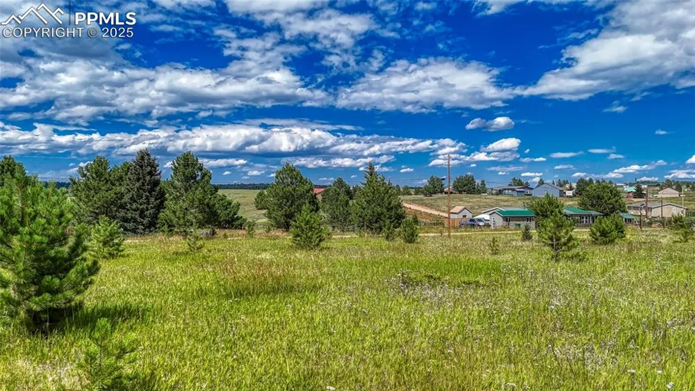 1129 Will Scarlet Drive Divide, CO 80814