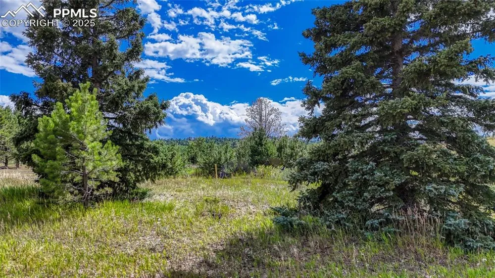 1129 Will Scarlet Drive Divide, CO 80814
