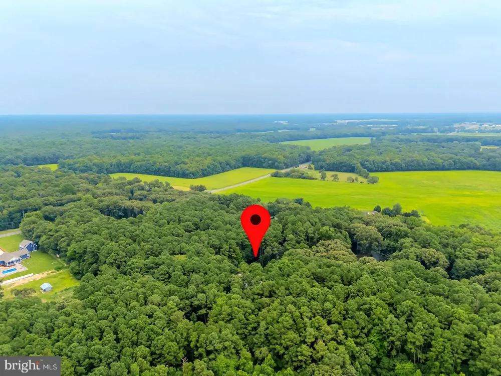 22095 WILSON ROAD Georgetown, DE 19947