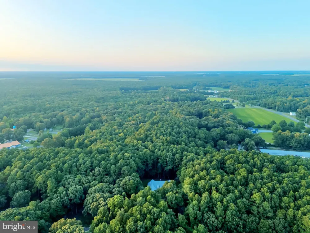 22095 WILSON ROAD Georgetown, DE 19947