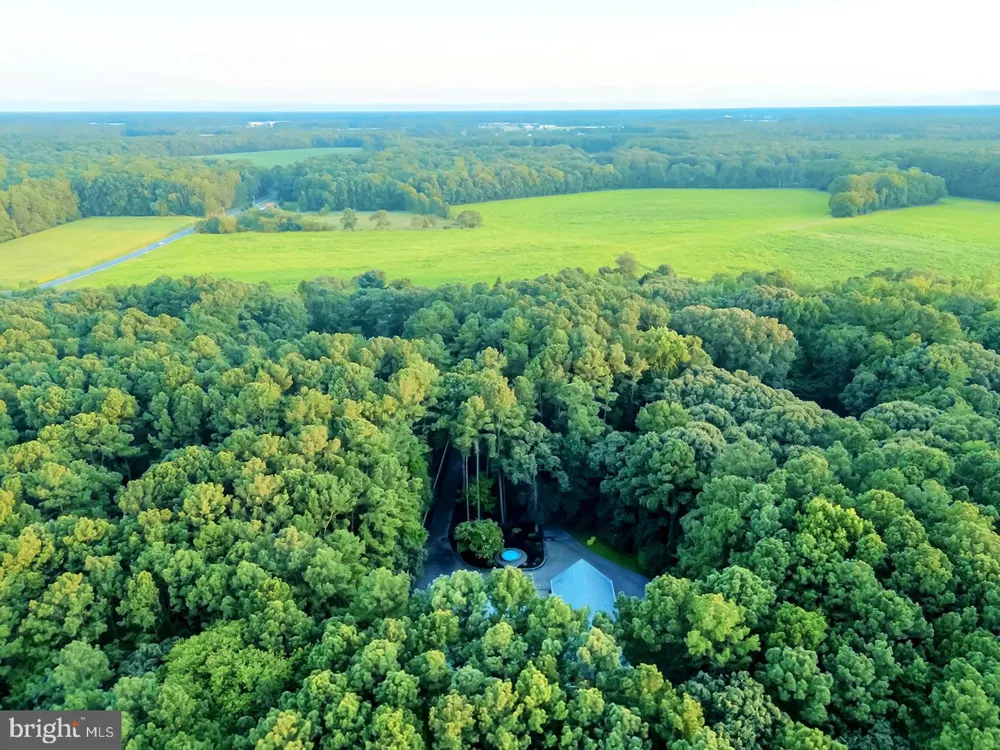 22095 WILSON ROAD Georgetown, DE 19947